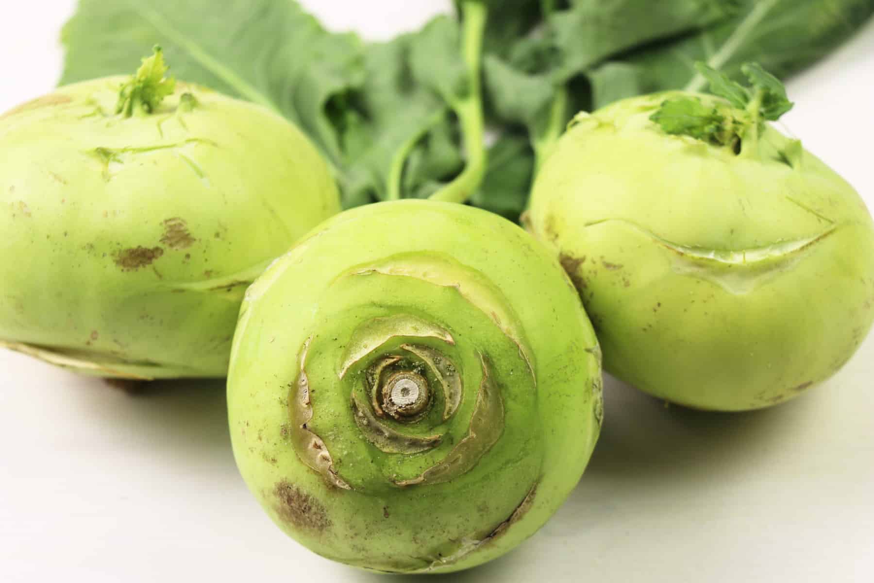 Wann sollte man Kohlrabi ernten? Das Wichtigste zur Erntezeit