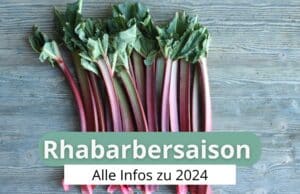 Rhabarbersaison 2024