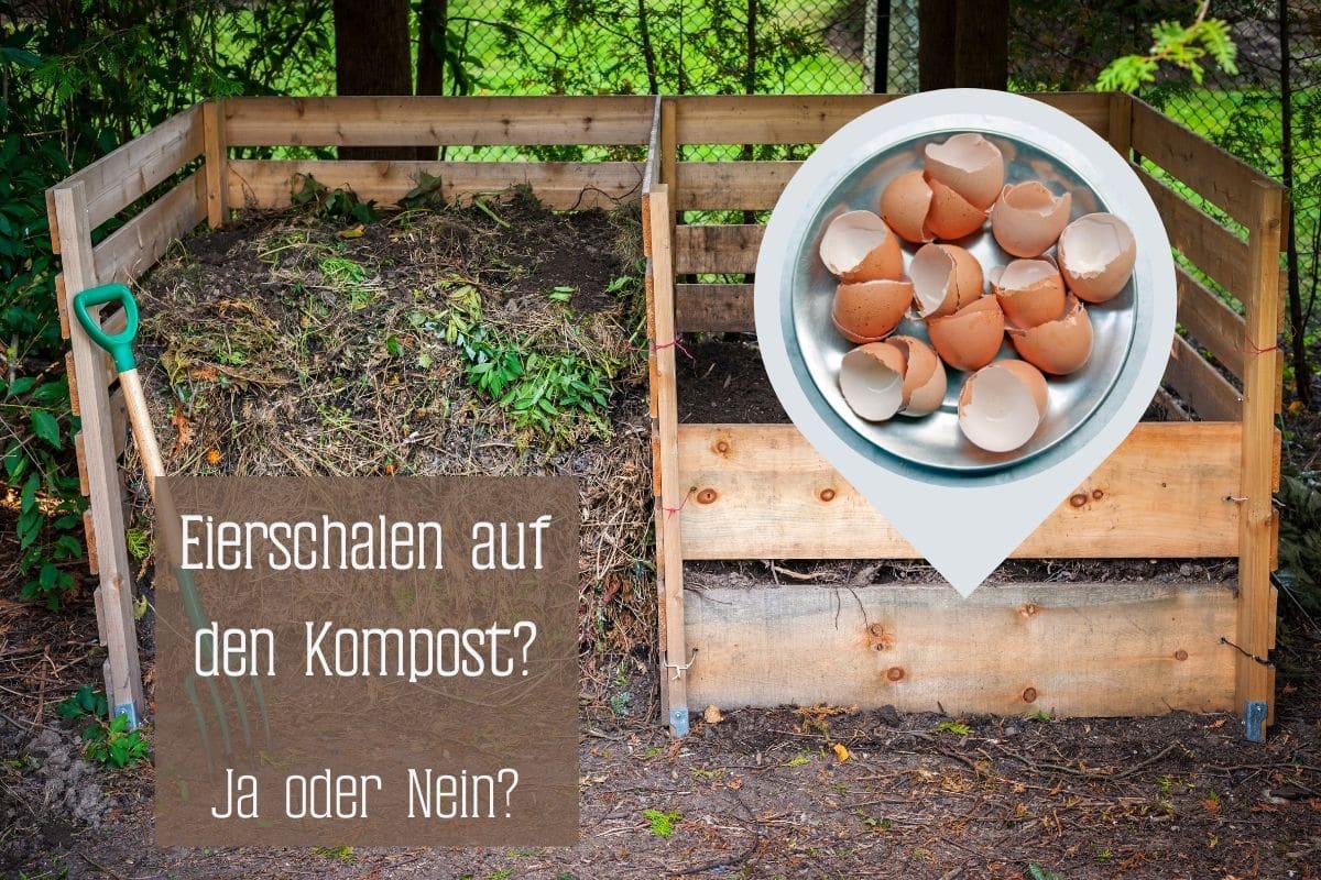 Eierschalen auf dem Kompost