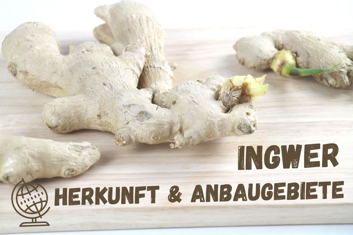 Ingwer Herkunft - Ingwer-Wurzel