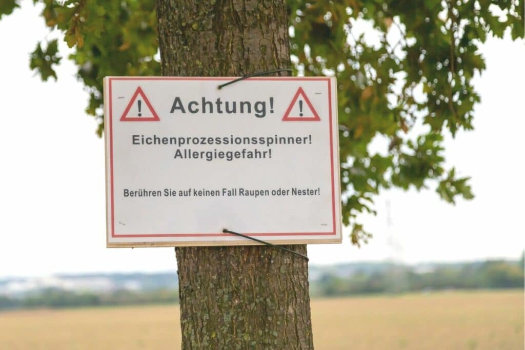 Warnschild vor Eichenprozessionsspinnern