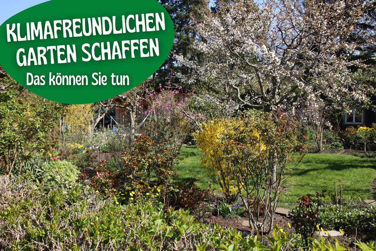 Klimafreundlicher Garten - Nachhaltig gärtnern