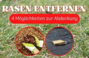 Rasen durch Abdeckung entfernen